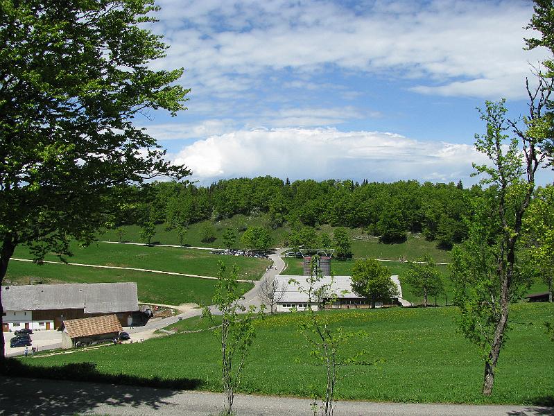 2009-05_Weissenstein 091.jpg